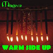 Picture for song 'Warm Side Up' by artist 'magnu'