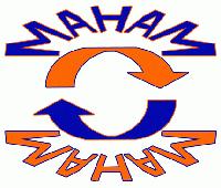 Picture for song 'Who She?' by artist 'maham'