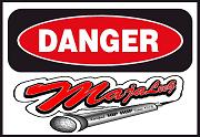 Picture for song 'Danger Freestyle' by artist 'MajaLeeG'