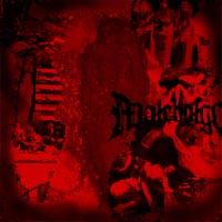 Picture for song 'The Price Of Failure' by artist 'Malebolge'