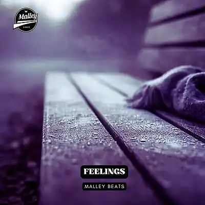 Picture for song 'FEELINGS - [COUNTRY RAP TYPE BEAT]' by artist 'Malley Beats'