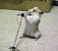 Picture for song 'ODD' by artist 'Mama Smurf'