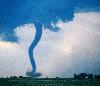 Picture for song 'Chasing the Tornado' by artist 'Mammoth'