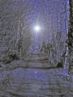 Picture for song 'Sons of Spon' by artist 'Manco'