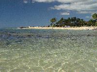 Picture for song 'the...."Oasis"' by artist 'Mane Azeem'