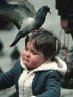 Picture for song 'Song 1' by artist 'Manic Plus One'