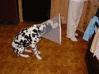 Picture for song 'Night Train' by artist 'Manny Moore'