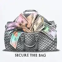 Picture for song 'Secure the Bag' by artist 'Manotti Street'