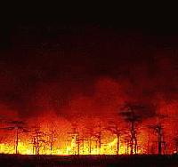 Picture for song 'Breakdown' by artist 'ManOwaR'