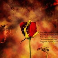 Picture for song 'Hideously Beautiful' by artist 'ManOwaR'