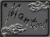 Picture for song 'Mantra - Peacefull Dream' by artist 'Mantraband'