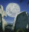 Picture for song 'GRAVEYARD' by artist 'MAPHIA'