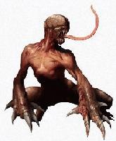 Picture for song 'Turtle's Myrtle' by artist 'Maraca Project'