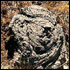 Picture for song 'Bravado' by artist 'Marcynic'