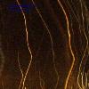 Picture for song 'The Element' by artist 'Mark Appleton'