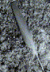 Picture for song 'Untitled' by artist 'Mark Bowers'
