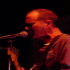 Picture for song 'Tell The Truth' by artist 'Mark Haney and The Buzzards'