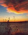 Picture for song 'Prairie sunrise' by artist 'Mark Winegar'