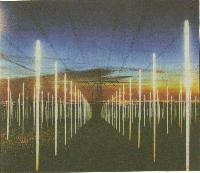 Picture for song 'Celebrity Schmelebrity (2004)' by artist 'Martin Dunn'