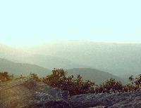 Picture for song 'Through the Vortex (In Concert)' by artist 'Martini Dawn'