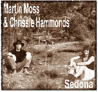 Picture for song 'A Fool Like Me' by artist 'Martin Moss and Chrissie Hammonds'