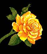 Picture for song 'Raise a Lady' by artist 'MaryK'