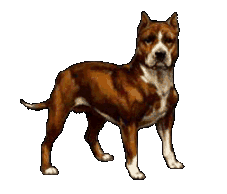 Picture for song 'Real Bulldog' by artist 'MaryK'