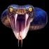 Picture for song 'Black Mamba' by artist '(MASSIVE Jointz)'