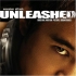 Picture for song 'Unleash Me' by artist '(MASSIVE Jointz)'