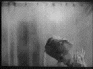 Picture for song 'The Hudson River Theory' by artist 'mastabeta'