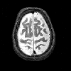 Picture for song 'MasterMind' by artist 'MasterMindz'