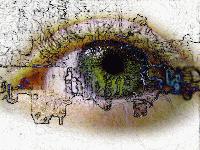 Picture for song 'This is my Truth' by artist 'Matthijs Ypenburg'