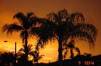 Picture for song 'Don't Fade Away' by artist 'Matt Schmiesing'