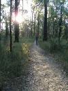 Picture for song 'Far Away ll' by artist 'Matt Schmiesing'