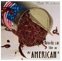 Picture for song 'NOBODY CAN..! like an American' by artist 'Matt Whitton'