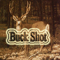 Picture for song 'MattyB vs Buckshot' by artist 'MattyB'