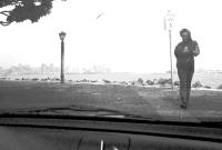 Picture for song 'Hypnotic' by artist 'Maven Paole'