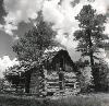 Picture for song 'Eleven Mile' by artist 'Max and Sue Hill'