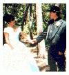 Picture for song 'New Romance' by artist 'Max and Sue Hill'