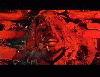 Picture for song 'Sewer Song' by artist 'Maximum Headlessness'