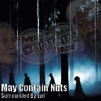 Picture for song 'Twenty... YES!' by artist 'May Contain Nuts'