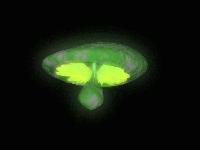 Picture for song 'Ancient Artifact' by artist 'Mazenga'