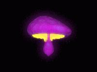 Picture for song 'Solis' by artist 'Mazenga'