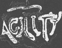 Picture for song 'White Chocolate (CT) Diss.' by artist 'Mc Agility'