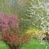 Picture for song 'Don't Take Away My Garden (live almost)' by artist 'mcarty526'