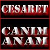 Picture for song 'Mc Cesaret - Canim Anam' by artist 'MC CESARET'