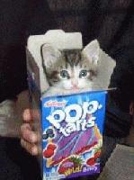 Picture for song 'How you want that (Ear Infection Remix)' by artist 'MC Oxajin'