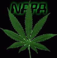 Picture for song 'freestyle' by artist 'McScorpion'