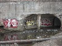 Picture for song 'It's out there' by artist 'The traveler84'