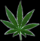 Picture for song 'HIGH (MC Spad)' by artist 'MC Spad'
